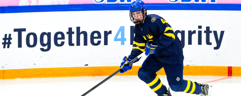 Red Wings Prospect Wins Game With Spectacular Tally