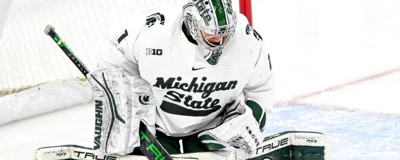 Red Wings Prospect on Verge of USA Hockey History