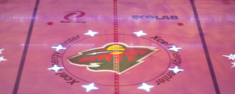 Minnesota Wild’s Best Draft Choices for 13th Overall