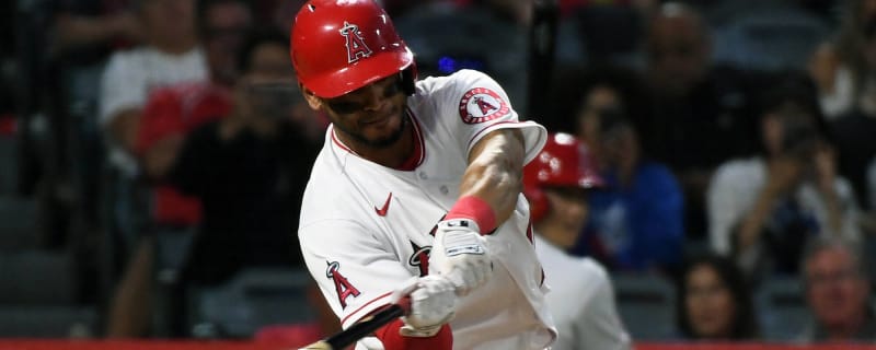 Man sues Angels after he was allegedly blinded by a baseball during game