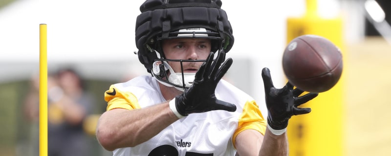 Cardinals promote WR Dan Chisena to active roster