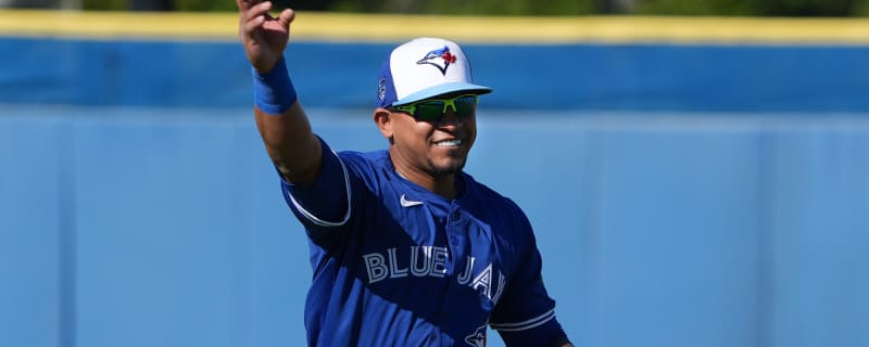 Toronto Blue Jays Call Up Top Prospect Orelvis Martinez
