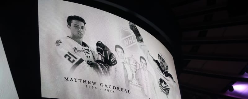 Meredith Gaudreau shares Matthew Gaudreau&#39;s speech at her & Johnny&#39;s wedding