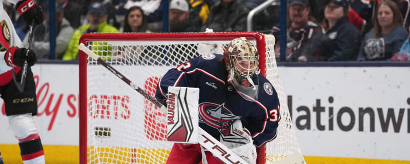 Toronto Maple Leafs now have an absurd amount of goalies after latest signing