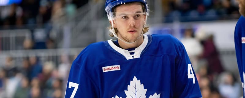Maple Leafs’ future could be Finnish if their European prospects continue to deliver
