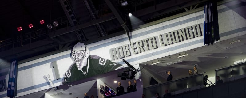 ‘I might frame this’: Luongo hilariously responds to fan who criticized his ‘Free the Skate’ comment