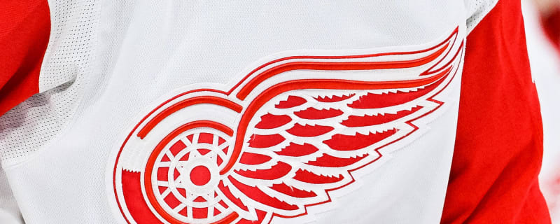 Red Wings Picks Dower Nilsson Brothers Briefly Reunited in Sweden