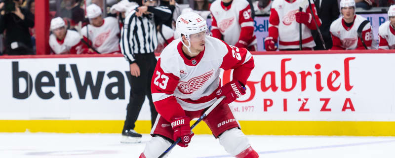 Young Detroit Red Wings Making Their Presence Known