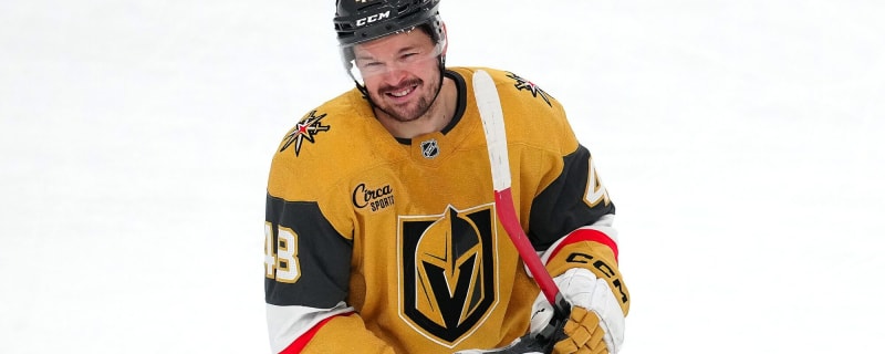 Golden Knights’ Tomas Hertl sidelined for three-game road trip due to injury
