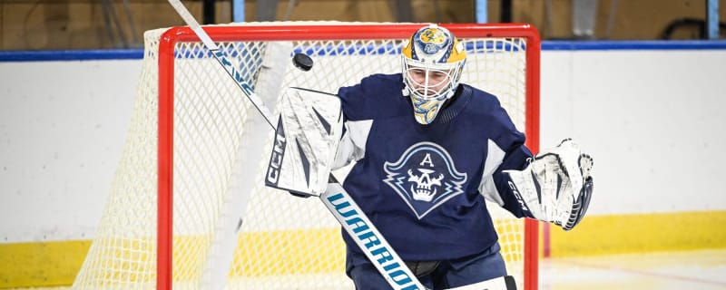 Predators sign Magnus Chrona to one-year contract