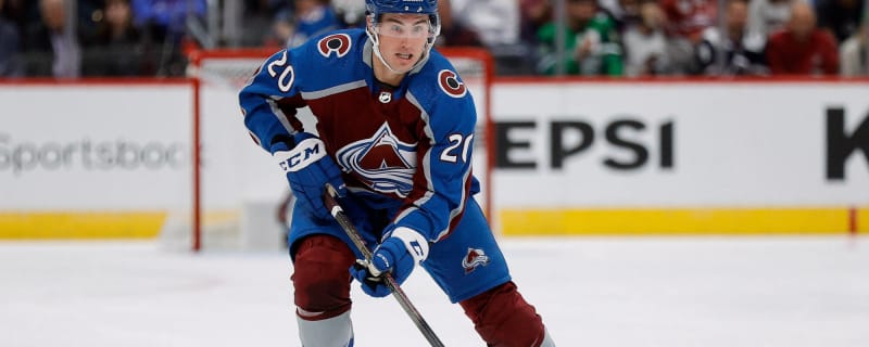 Colorado Avalanche netminder Pavel Francouz named KHL Goalie of the Year -  Mile High Hockey