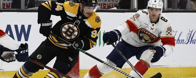 Panthers’ Nico Sturm day-to-day with undisclosed injury