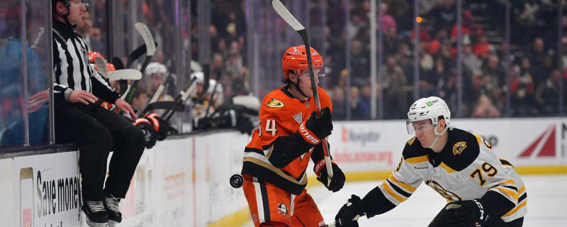 Bruins’ Michael Callahan fined for cross-checking Ducks’ Jansen Harkins