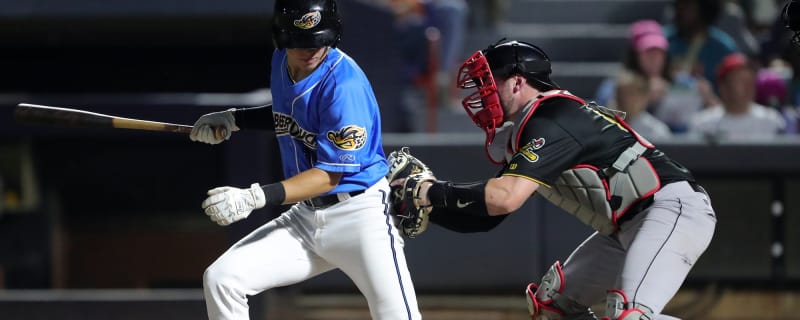 Blue Jays Nation’s Top 20 Canadian Baseball Prospects for 2025 – #17: Liam Hicks