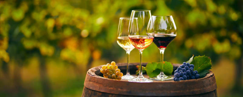 20 wine-drinking tips that will turn you into a sommelier