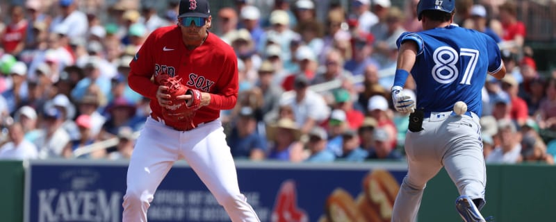 Jays Score 20, Beat the Rays - Bluebird Banter