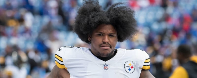 Steelers LB Devin Bush gets in Twitter trouble, blames fans