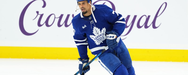 Maple Leafs fans react to the Ryan Reaves trade