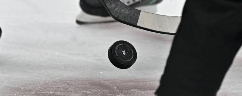 Andrew Gibson, Egor Surin Stand Out In Predators Future Stars Game