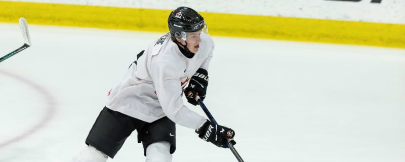 Avalanche lose preseason debut 3–2 to Dallas Stars, Calum Ritchie shines