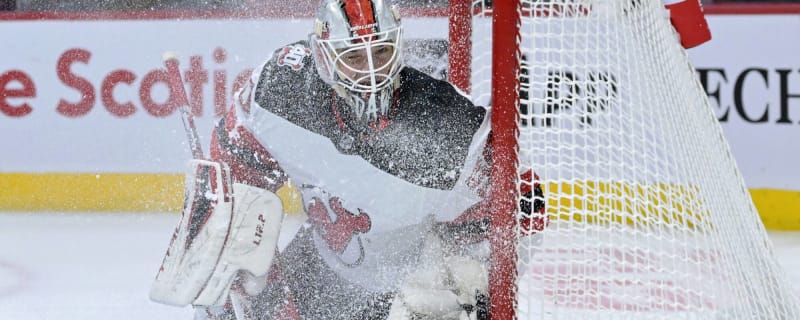 Why Was Devils Goaltender Nico Daws Recalled, Again?
