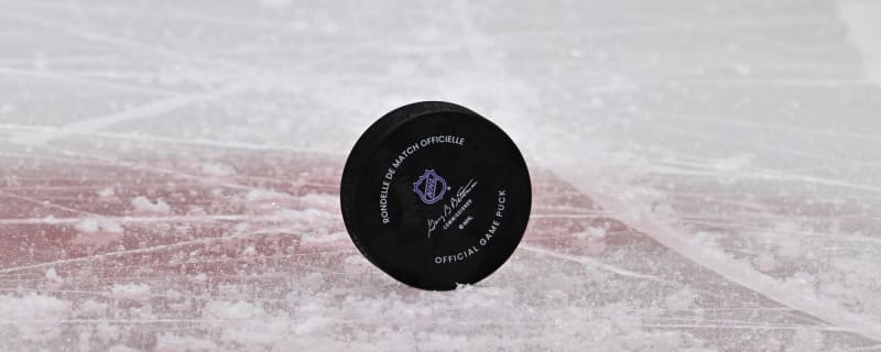 Flames place Ilya Nikolaev on unconditional waivers