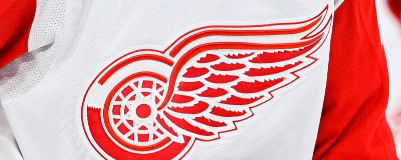 Red Wings’ Traverse City Rookie Tournament Down to Two Teams