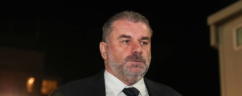 Tim Sherwood says Spurs can go all the way in the FA Cup if they make two signings in January