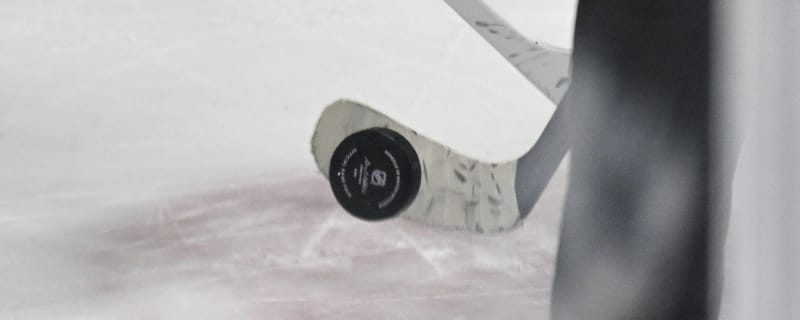 Edmonton Oilers Prospect Countdown #19: Bauer Berry