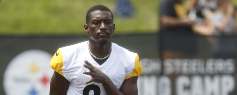 Bengals Sign Three Including WR Hakeem Butler