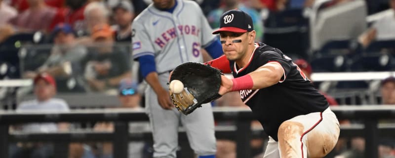 Joey Meneses, Ildemaro Vargas, Michael Rucker Elect Free Agency After Nationals’ Outrights