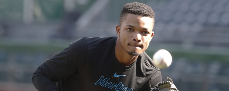 Marlins designate cousin of Red Sox star for assignment