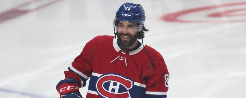 Mathieu Perreault Announces Retirement From NHL