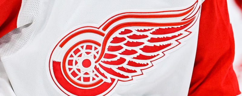 Son of Red Wings Scout Making Name For Himself