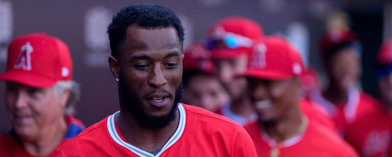 Angels select former batting champ for MLB roster