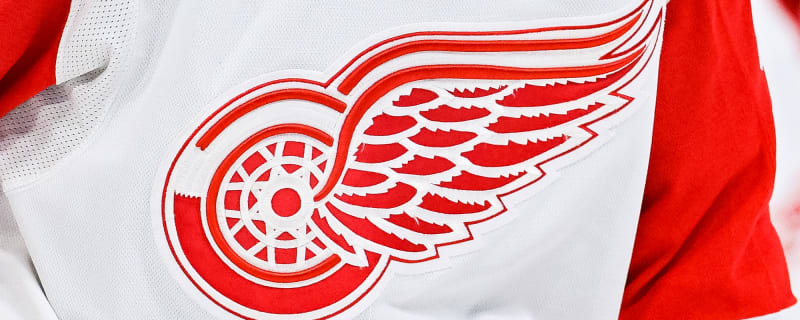 Red Wings Prospects Making Their Points