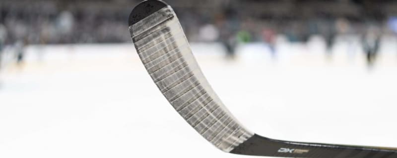 Grizzlies’ Future in Question As NHL Heads to Salt Lake