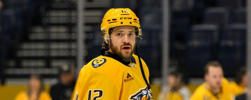 Predators place Vinnie Hinostroza on waivers