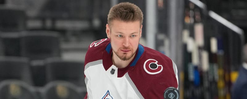 How Valeri Nichushkin, 18, Is Adjusting to American Culture & Being an NHL Star, News, Scores, Highlights, Stats, and Rumors