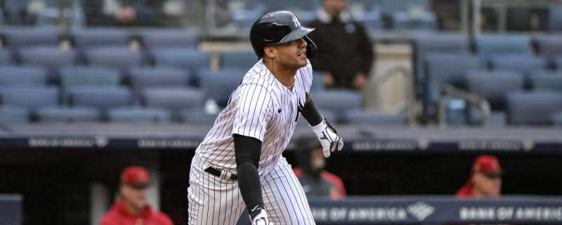 Yankees prospects: Breaking down the Gleyber Torres promotion - Pinstripe  Alley