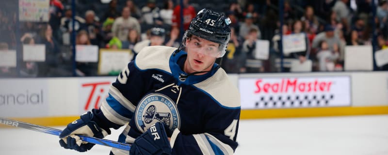 Blue Jackets’ Gavin Brindley placed on injured reserve