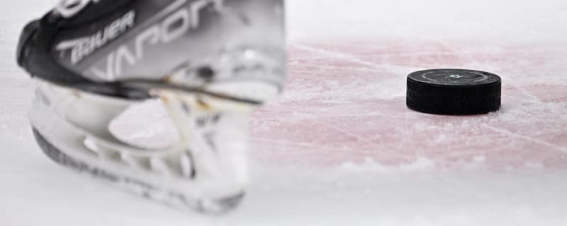 San Jose Native Laubach on His Solid NCAA Debut, Fellow Jr. Shark Celebrini