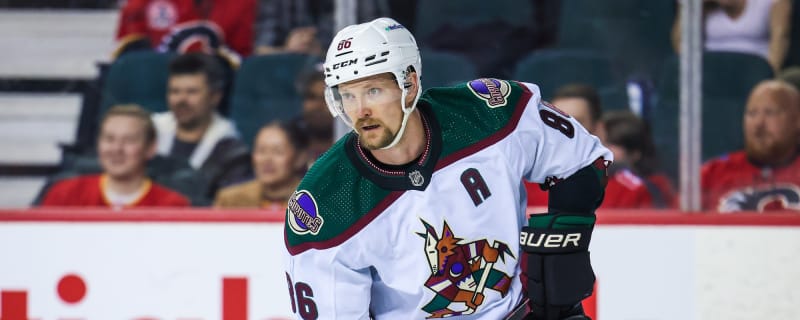 Former Toronto Maple Leafs Defenseman Hangs Up His Skates and Moves to Different Sport