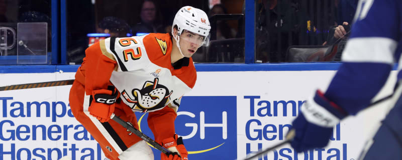 Ducks reassign Nikita Nesterenko