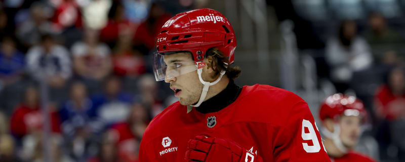 Gotta see it: Red Wings Prospects Throw Down