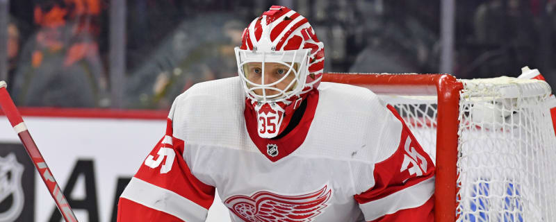 Red Wings place goaltender on waivers after uninspiring performance