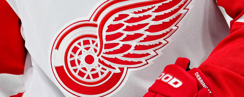 Who Are These Guys On Red Wings Rookie Roster?