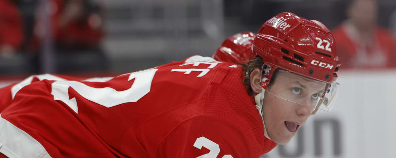 Three Former Red Wings Accept Invites to NHL Camps