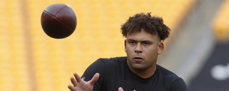 Steelers TE embracing 'football player' mentality in hopes of growing role