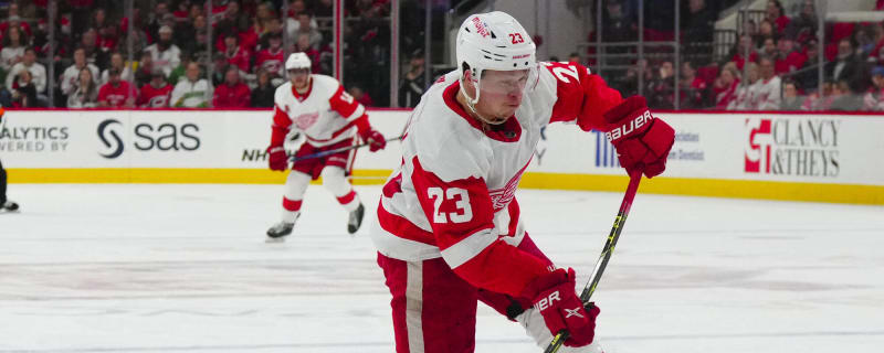 New Jersey numbers 23-24 : r/DetroitRedWings